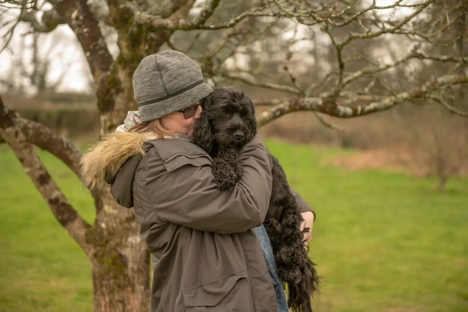 Cockapoo - Moja miłość do tej rasy psów. Dlaczego kocham Cockapoo