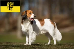 Read more about the article Holenderscy hodowcy i szczenięta Kooikerhondje w Badenia-Wirtembergia