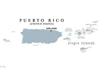 Hodowla psów rasy Duck Tolling Retriever z Nowej Szkocji w Portoryko,Estado Libre Asociado de Puerto Rico Hodowla psów rasy Duck Tolling Retriever z Nowej Szkocji w Portoryko,Estado Libre Asociado de Puerto Rico